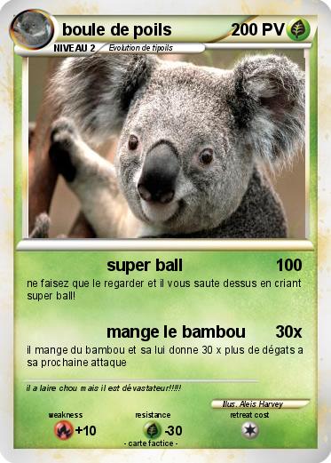 Pokemon boule de poils