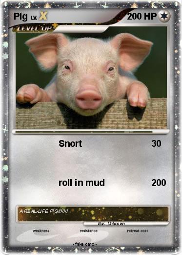 Pokemon Pig