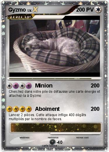 Pokemon Gyzmo