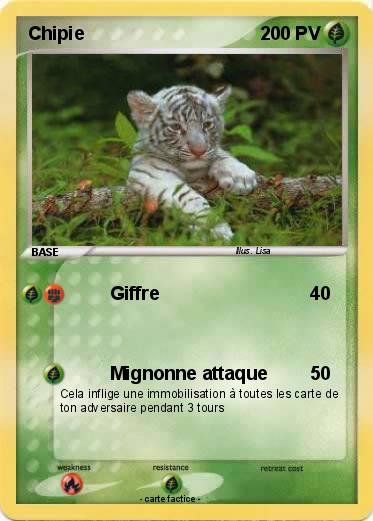 Pokemon Chipie