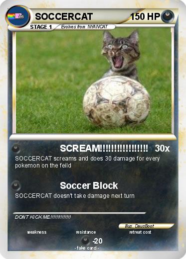 Pokemon SOCCERCAT