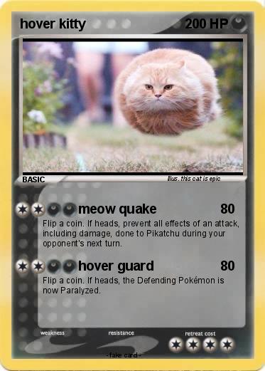 Pokemon hover kitty
