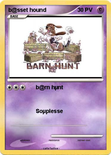 Pokemon b@sset hound