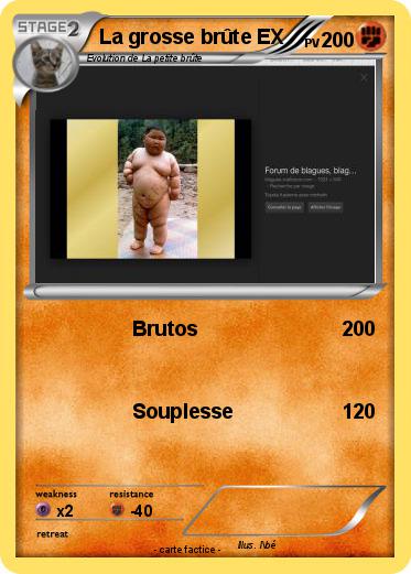 Pokemon La grosse brûte EX