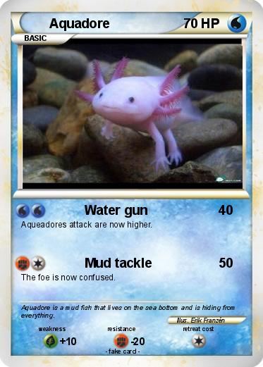 Pokemon Aquadore