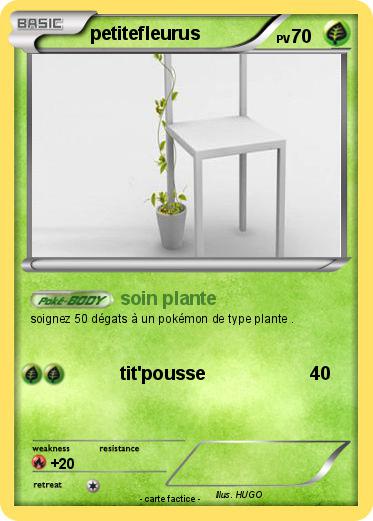 Pokemon petitefleurus
