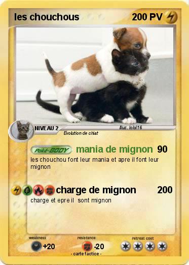 Pokemon les chouchous