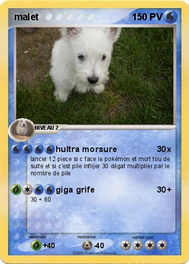 Pokemon malet
