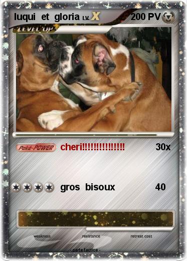 Pokemon luqui  et  gloria