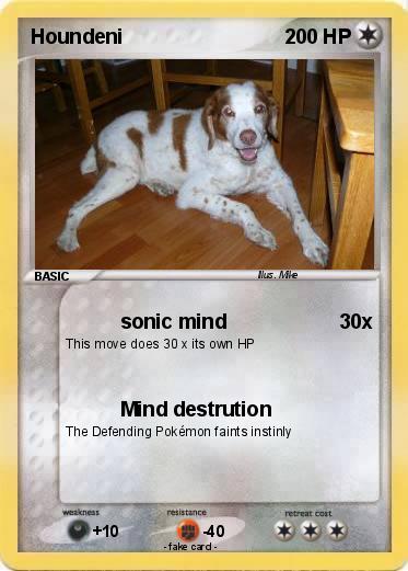 Pokemon Houndeni