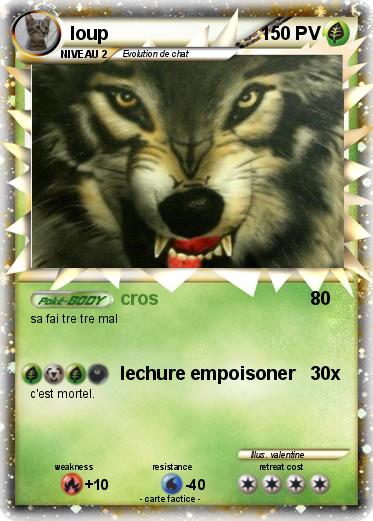 Pokemon loup