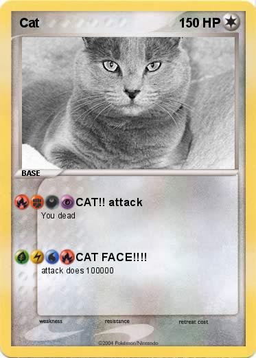 Pokemon Cat