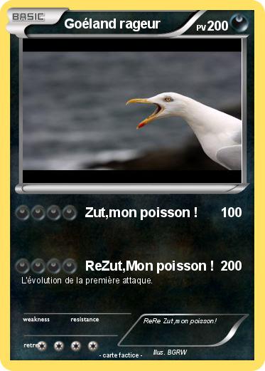 Pokemon Goéland rageur