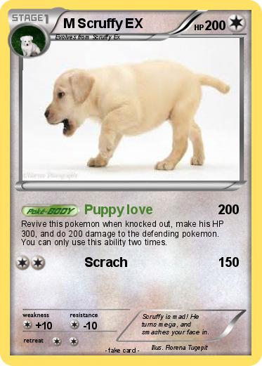 Pokemon M Scruffy EX