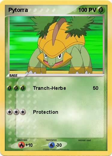 Pokemon Pytorra