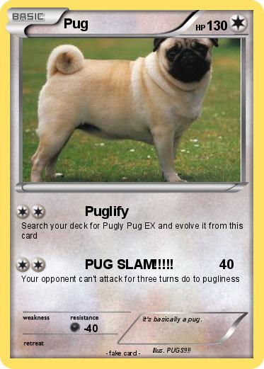 Pokemon Pug
