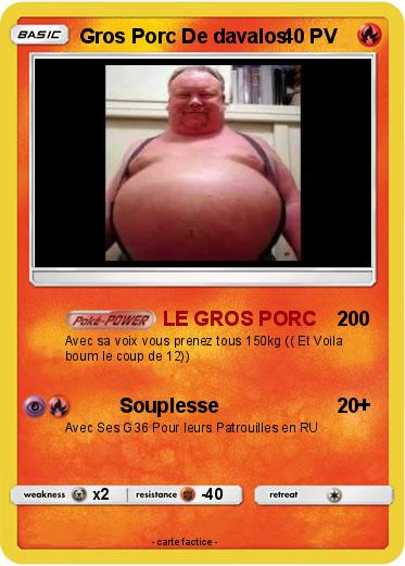 Pokemon Gros Porc De davalos