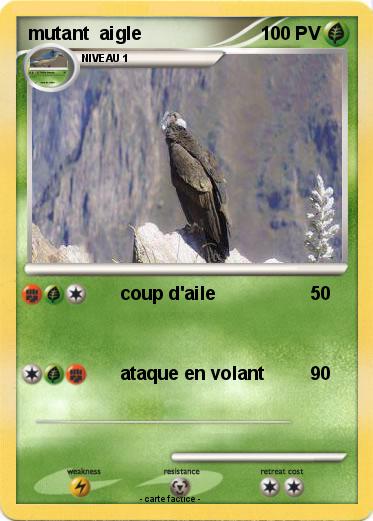 Pokemon mutant  aigle