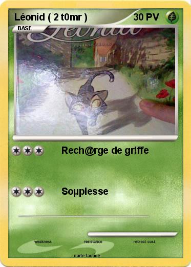 Pokemon Léonid ( 2 t0mr )