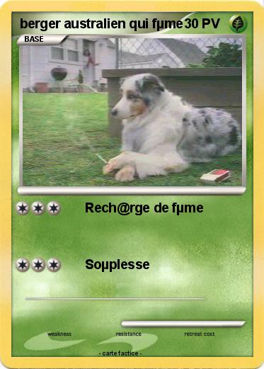 Pokemon berger australien qui fµme