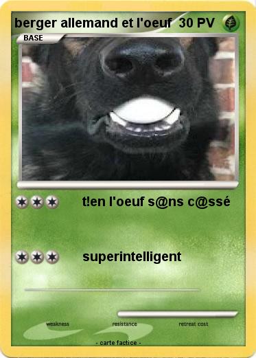 Pokemon berger allemand et l'oeuf
