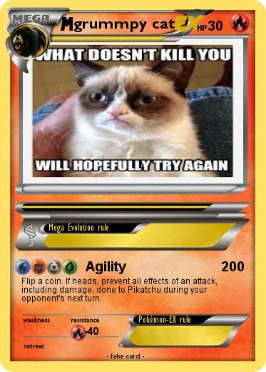 Pokemon grummpy cat