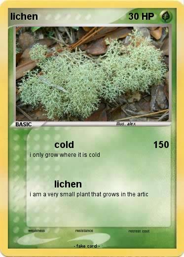 Pokemon lichen