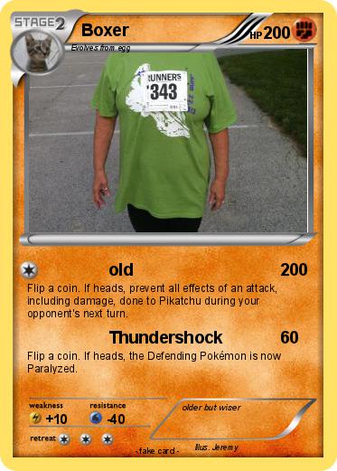 Pokemon Boxer