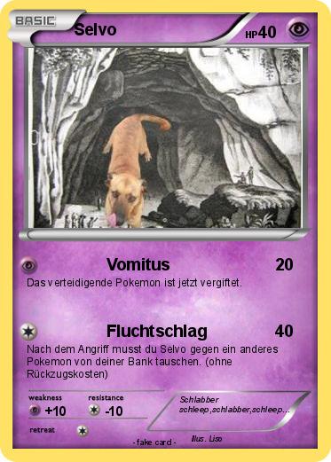 Pokemon Selvo