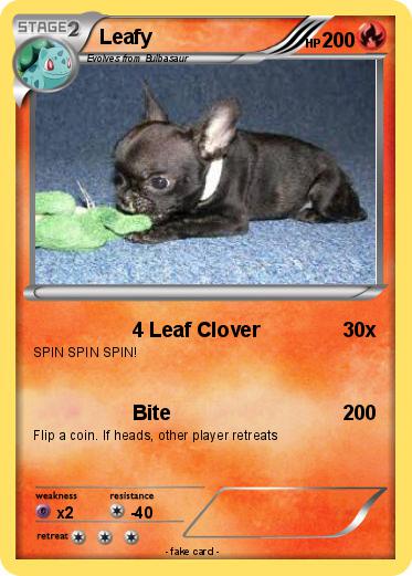 Pokemon Leafy
