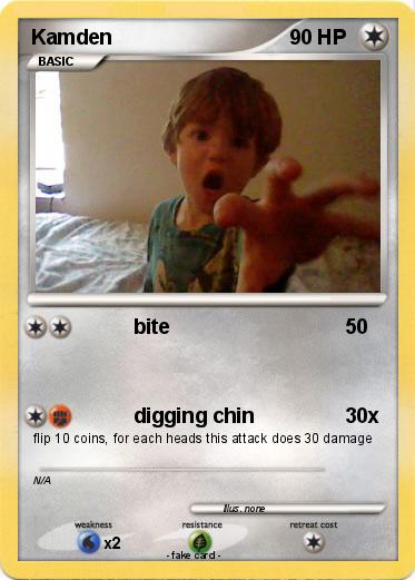 Pokemon Kamden