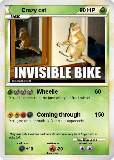 Pokemon Crazy cat