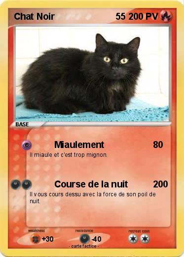Pokemon Chat Noir                        55