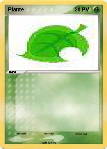 Pokemon Plante