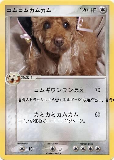 Pokemon コムコムカムカム