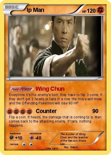 Pokemon Ip Man