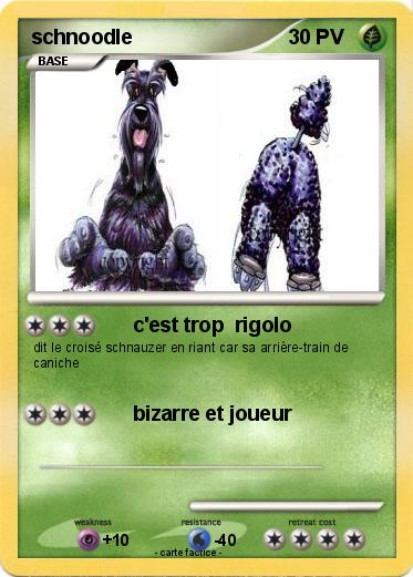 Pokemon schnoodle