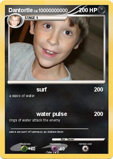 Pokemon Dantortle