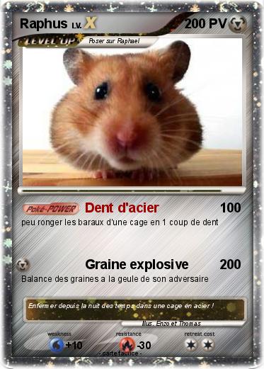 Pokemon Raphus