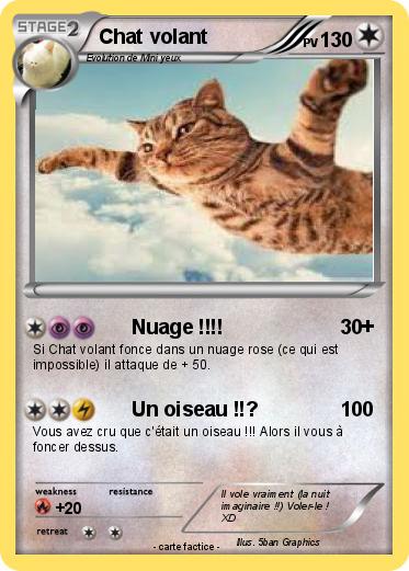 Pokemon Chat volant