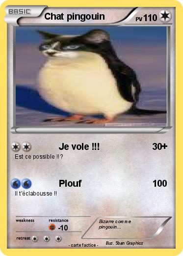 Pokemon Chat pingouin