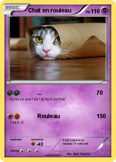 Pokemon Chat en rouleau