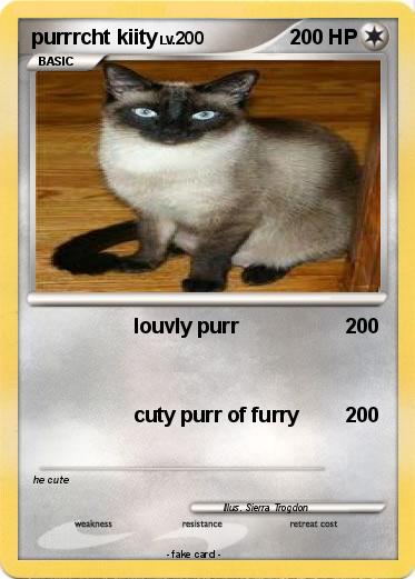 Pokemon purrrcht kiity