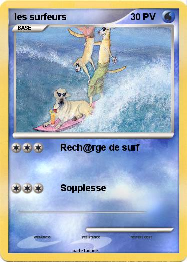 Pokemon les surfeurs
