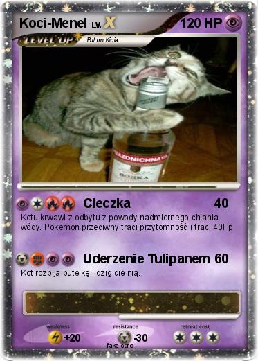 Pokemon Koci-Menel