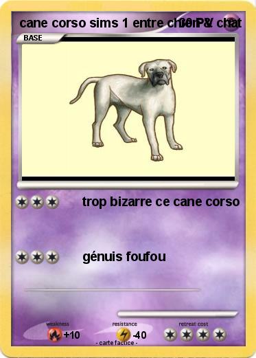 Pokemon cane corso sims 1 entre chien & chat