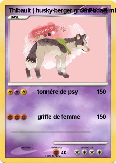 Pokemon Thibault ( husky-berger groenendael mix )