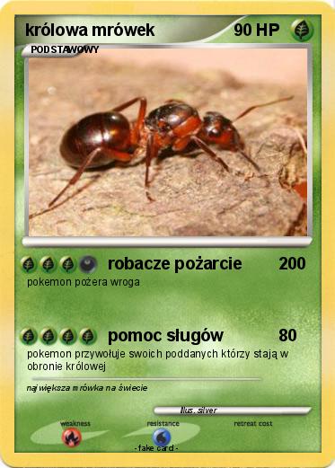 Pokemon królowa mrówek