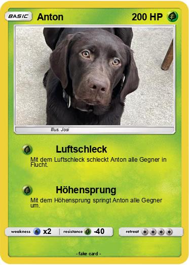Pokemon Anton