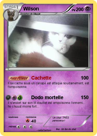 Pokemon Wilson